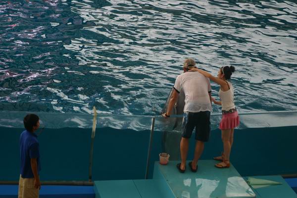 環島遊記第三天